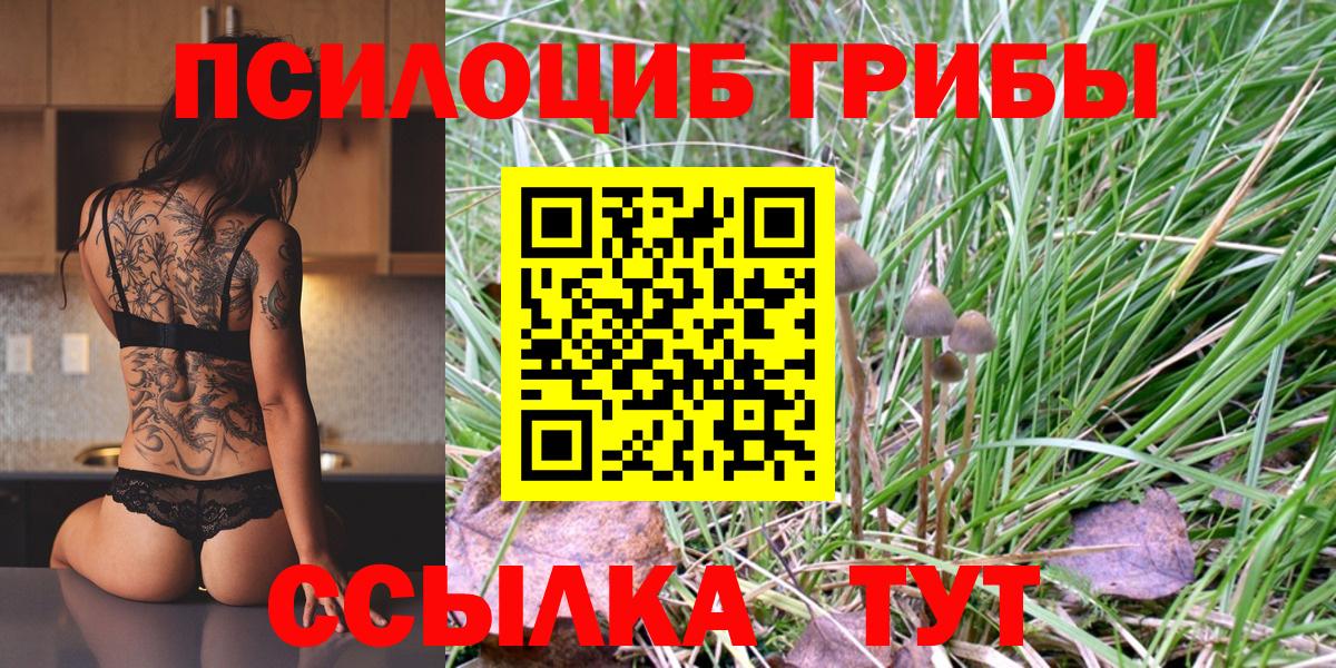 купить   Вход с VPN  Дивногорск  Галлюциногенные грибы Psilocybine cubensis 